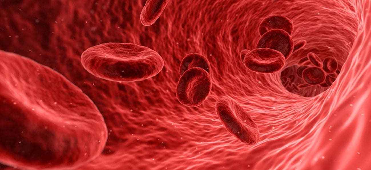 Bloodstream 1300x731 1