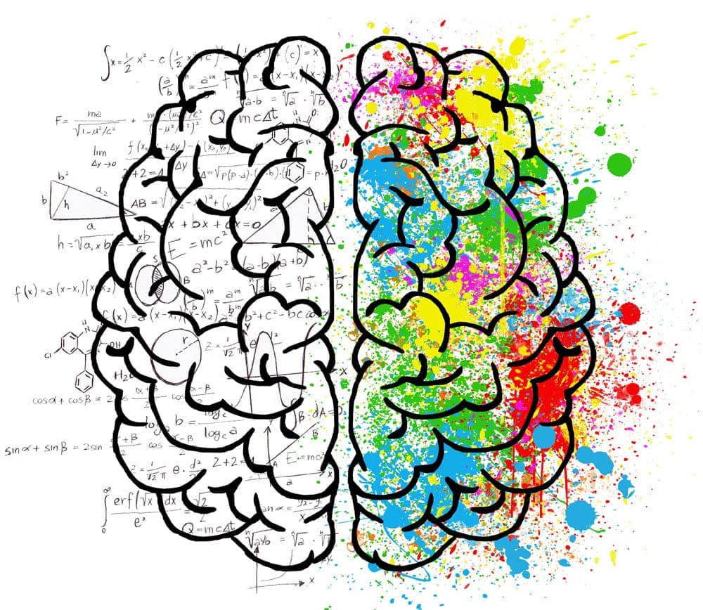 Brain 2