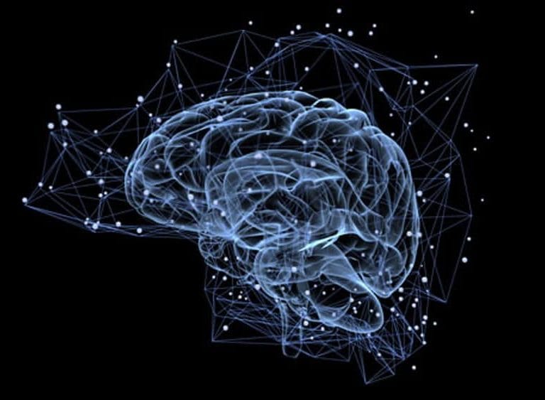 Brain1