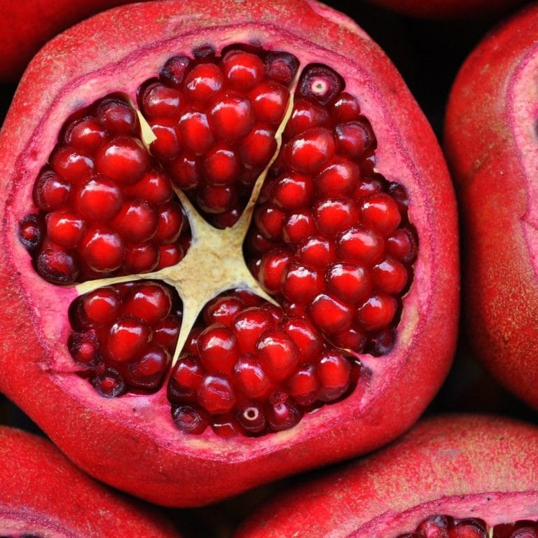 Pomegranate 3383814 1920